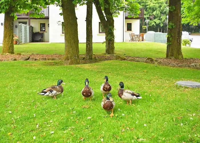 Fell View Apartamento